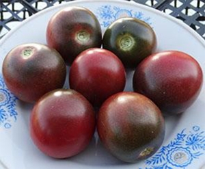 Семена томата сорта Haley’s Purple Comet (Пурпурная комета Хэйли) - Шоколадные томаты