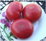 . Willa’s Cariboo Rose (Роза Виллы Карибу)