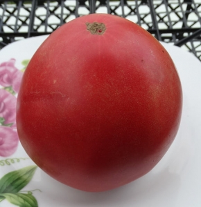 Семена сорта томата Ludmilla’s Pink Heart (Розовое Сердце Людмилы) - Гиганты сердцевидные 