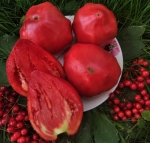 . Розовый подарок