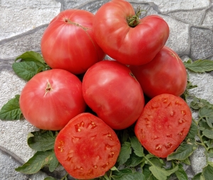 Семена томата сорта Розовый сахарный - Гиганты сердцевидные