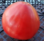 . Сахарный гигант 