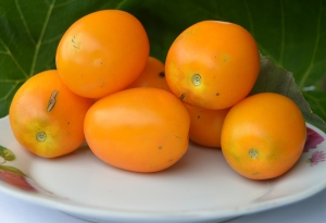 Семена томата сорта Сердце дракона желтое - Длинноплодные томаты