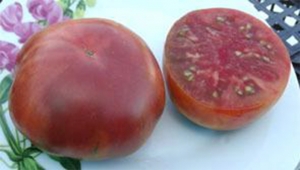 Семена сорта томата Blaue Kasachstan (Синий Казахстан) - Шоколадные