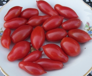 Семена сорта томата Сладкие - низкорослые черри 