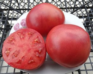 Семена сорта томата Sherry’s Sweet Heart (Сладкое Сердце Шерри) - Гиганты сердцевидные 