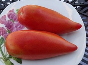 Семена томата сорта Pittman Valley Plum (Слива долины Питман) - Длинноплодные томаты