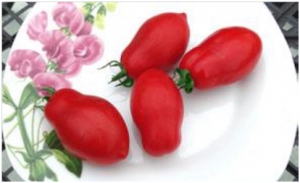 Семена сорта томата Служебный роман - Низкорослые кустовые 