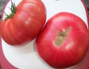 Семена томата сорта Тырновский розовый - Гиганты розовые