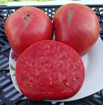 . Tennessee Heirloom (Фамильный Теннесси) 