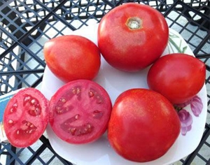 Семена томата сорта Хлебосольный розовый - Среднерослые