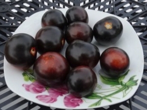 Семена томата сорта Черниченский черри - Синие