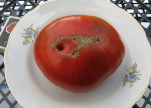 Семена томата сорта Черный мамонт - Шоколадные томаты