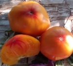 . Shen Fas Axa (Шен Фас Аха)