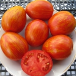 . Шаймет криг (Schimmeig Creg)