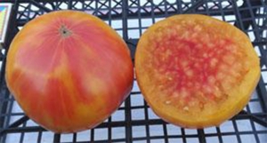 Семена сорта томата Southern Pride (Южная гордость) - Гиганты двуцветные