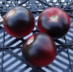 . Southern Sparkle (Южная искорка)