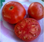 . Watermelon (Арбуз)