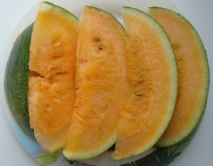 Семена арбуза сорта Suika Sweet (Суика Свит)