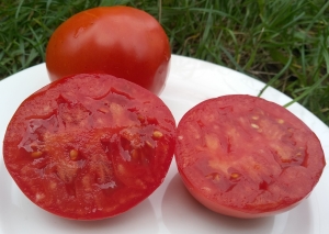 Семена сорта томата Астраханский низкий - Низкорослые крупноплодные