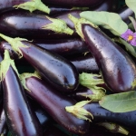 . Баклажан Violetta Lunga (Виолетта Лунга)