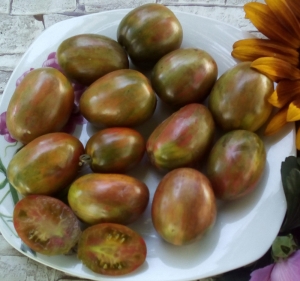 Семена томата сорта Brussel Tomato festival (Брюссельский фестиваль томатов) - Высокорослые округлые и плоско-округлые