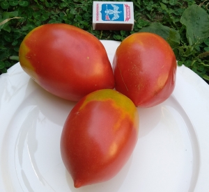 Семена томата сорта Бычье сердце Минусинское кистевое - Сливовидно-овальные