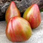 . Волшебная радуга (Magic Rainbow)