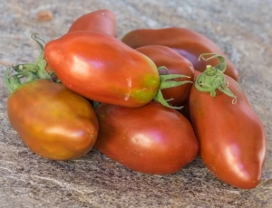 Семена томата сорта Deep Space (Глубокий космос) - Длинноплодные томаты