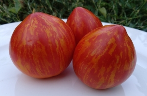 Семена сорта томата Dwarf Speckled Heart (Гном Крапчатое Сердце) - Гномы