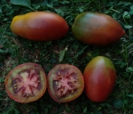 . Dwarf Almandine (Гном Алмандин)