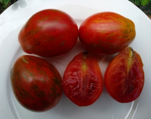 Семена сорта томата Dwarf Maritime Bell (Гном Морские Колокольчики) - Гномы