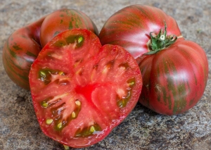 Семена сорта томата Dwarf Black Fire (Гном Черный огонь) - Гномы