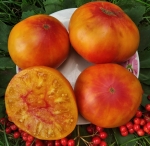 . Pamplemousse du Grand Père (Грейпфрут великого Папы)