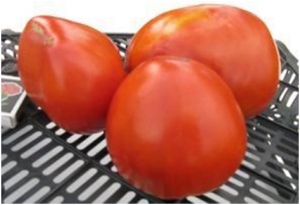 Семена томата сорта Гроздь крупная - Гиганты сердцевидные 