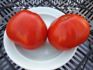 Семена томата сорта Сердце Данко - низкорослый круплноплодный