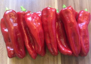 Перец сорта Дольче де Испания