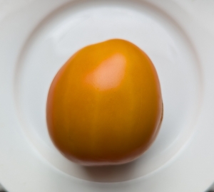 Семена томата сорта Дуся оранжевая - Высокорослые сливовидно-овальные