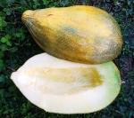 . Дыня Банана (Banana)