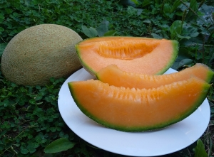Семена дыни сорта Sweet Passion (Сладкая страсть)