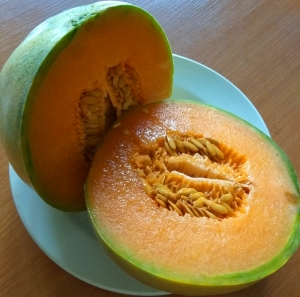 Семена дыни сорта Charentais (Шаранте)