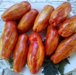 . Желтый тюльпан (Yellow Tolir)