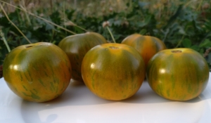 Семена сорта томата Val's Green Striped (Зеленый полосатый Вэла) - Зеленоплодные