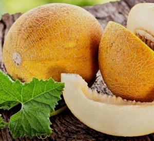 Семена дыни сорта Инея