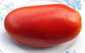 Семена томата сорта Испанский гигант - Длинноплодные