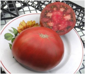 Семена сорта томата Кавказский Черный - Шоколадные