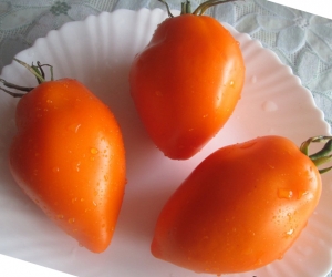 Семена томата сорта Calkutta (Калькутта) - Высокорослые сливовидно-овальные