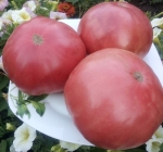 . Gary's beauty (Красота Гэри)