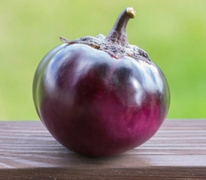 Семена баклажана сорта Круглый мяч