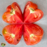 . Woodland's Giant (Лесной гигант, Гигантский лес)